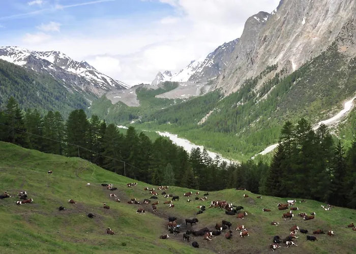 アパート Aux Pieds Du Mont-blanc Mansarda *