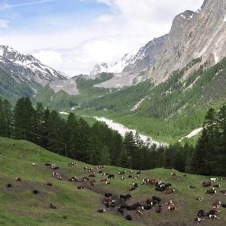 Appartement Aux Pieds Du Mont-blanc Mansarda *